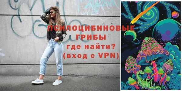 СК Арсеньев