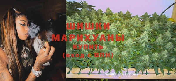 гидра Аркадак