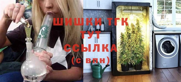 гидра Аркадак